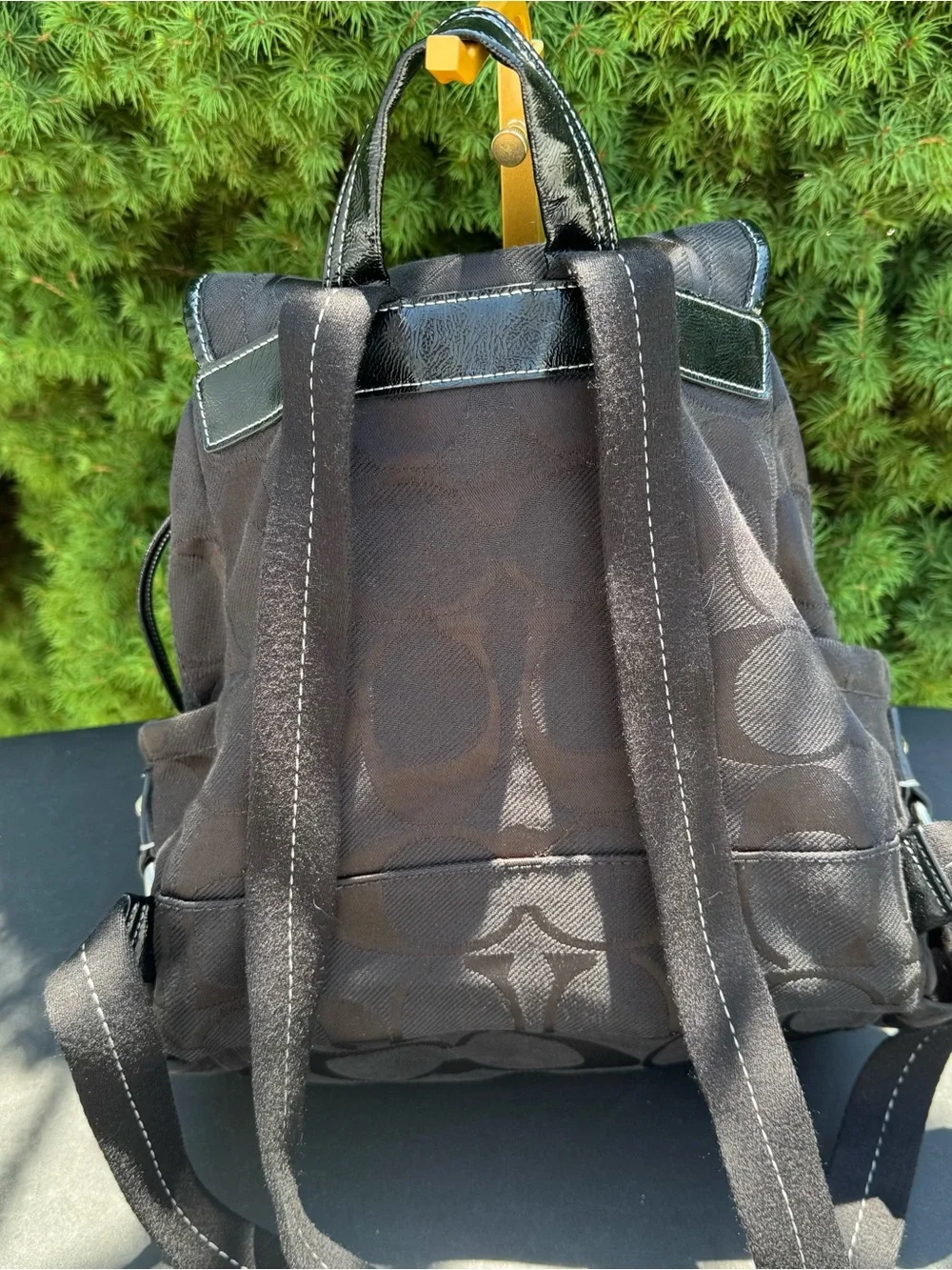 Coach Kyra Daisy Signature Canvas Backpack with Black Trim